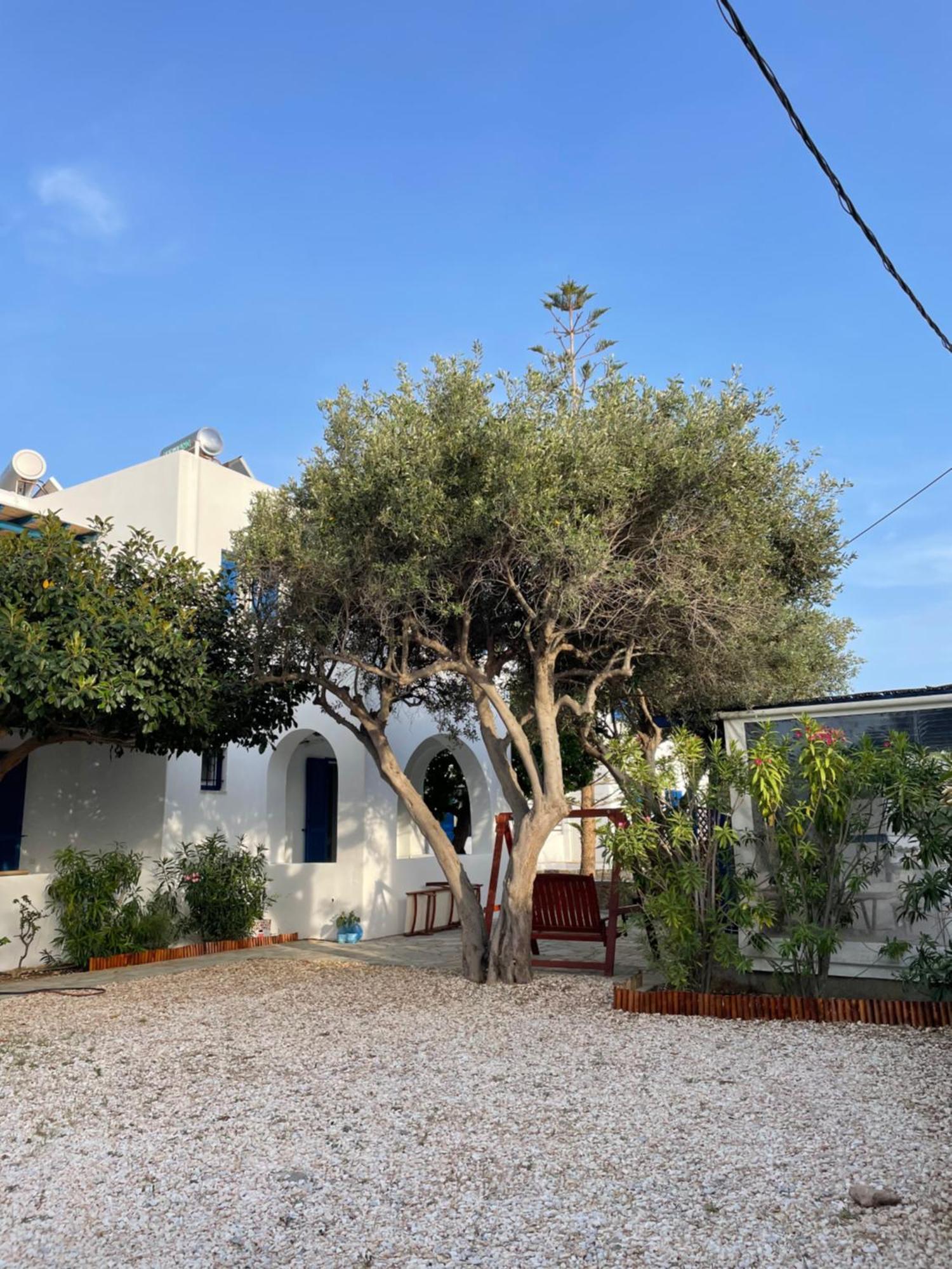 Villa Gelly'S Studios Alikí Kültér fotó